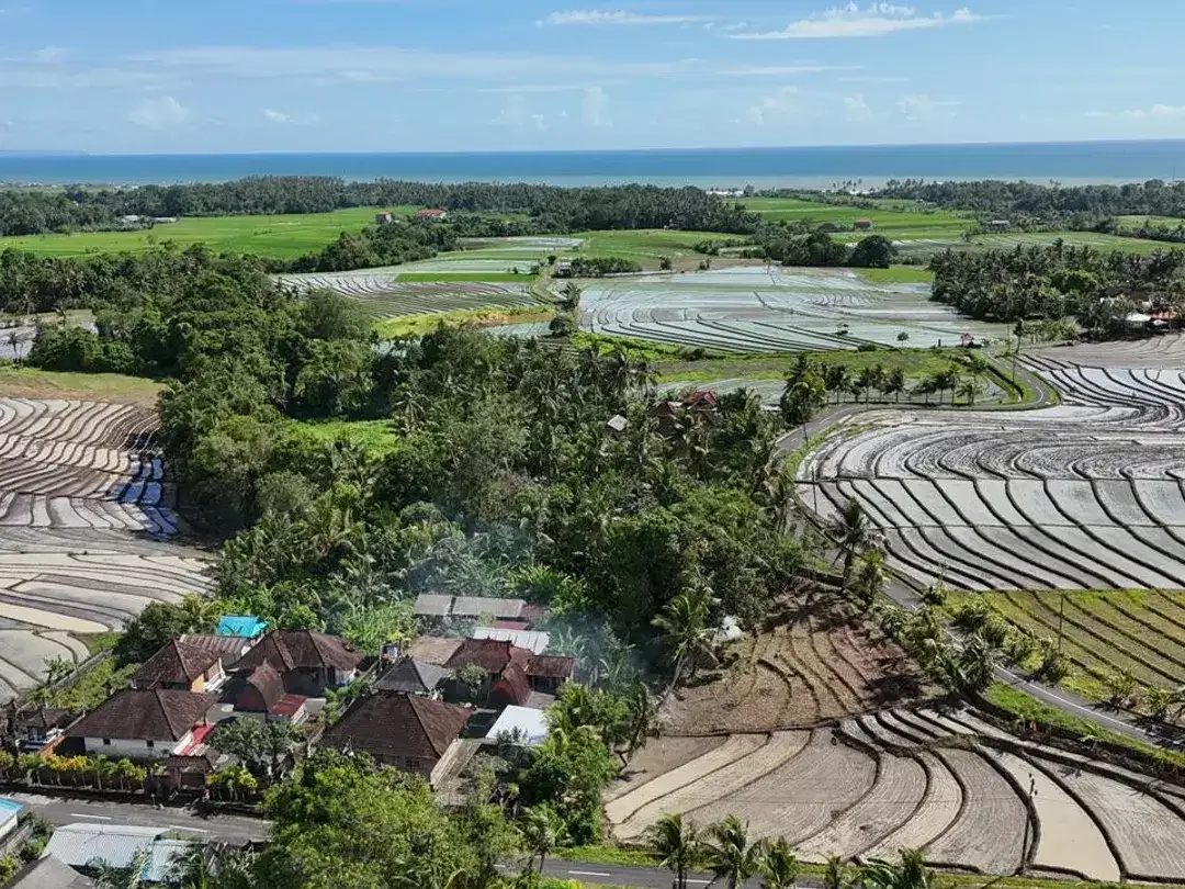 Tanah beraban tabanan bali - Image 2 of 10