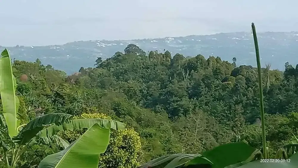 BUC TANAH DIJUAL FULL VIEW LAUT BALI UTARA - Image 3 of 3
