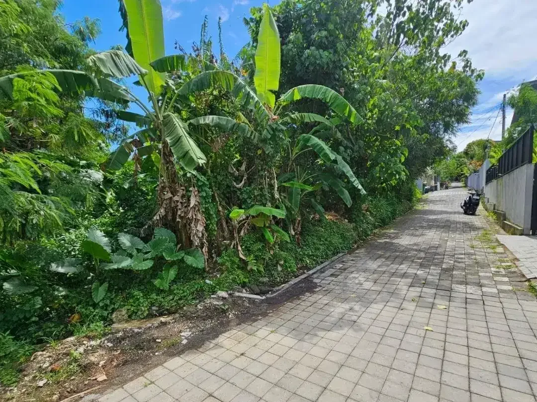 Tanah padang linjong canggu - Image 1 of 8