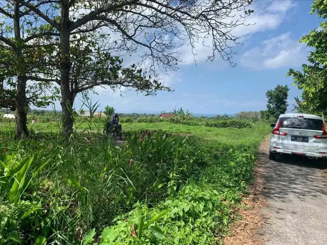 Dijual Tanah Dekat Ke Pantai Kelecung Tabanan - Image 3 of 7
