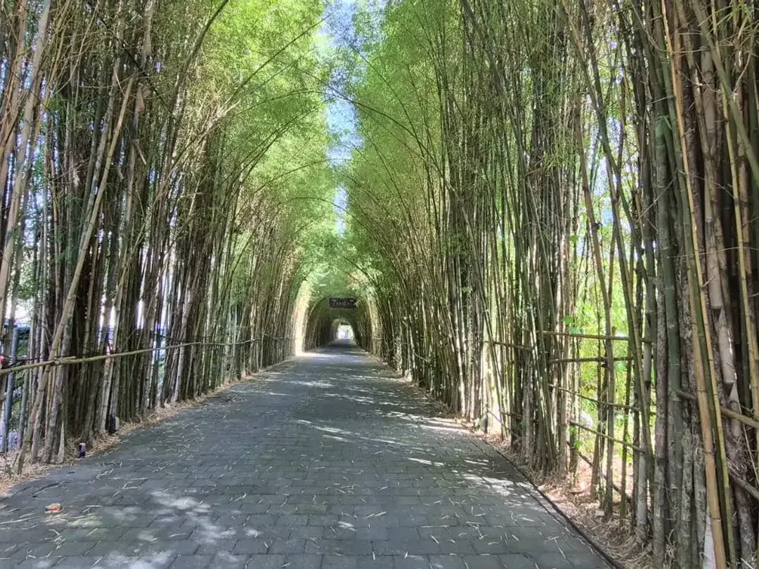 Leasehold - Rare Commercial Land Opportunity in prime area Petitenget, Seminyak, Bali - Image 6 of 6
