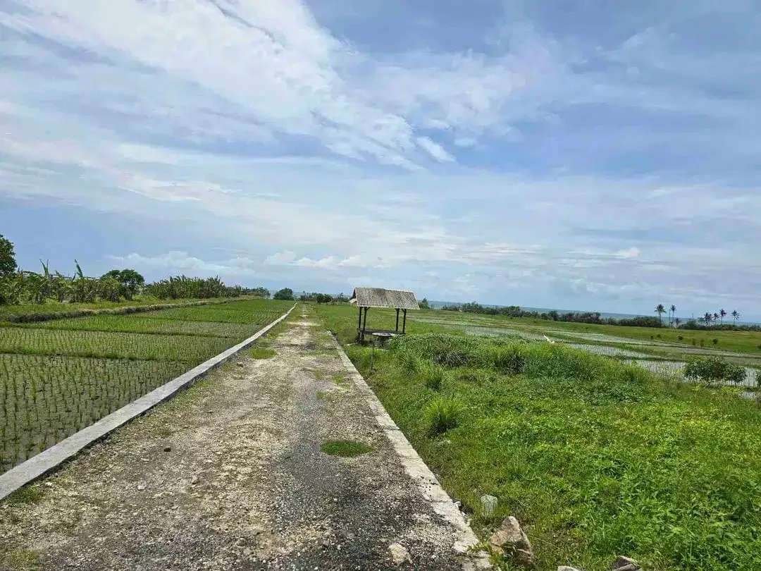 dijual tanah kecil view laut sawah di pantai pasut tabanan bali - Image 7 of 10