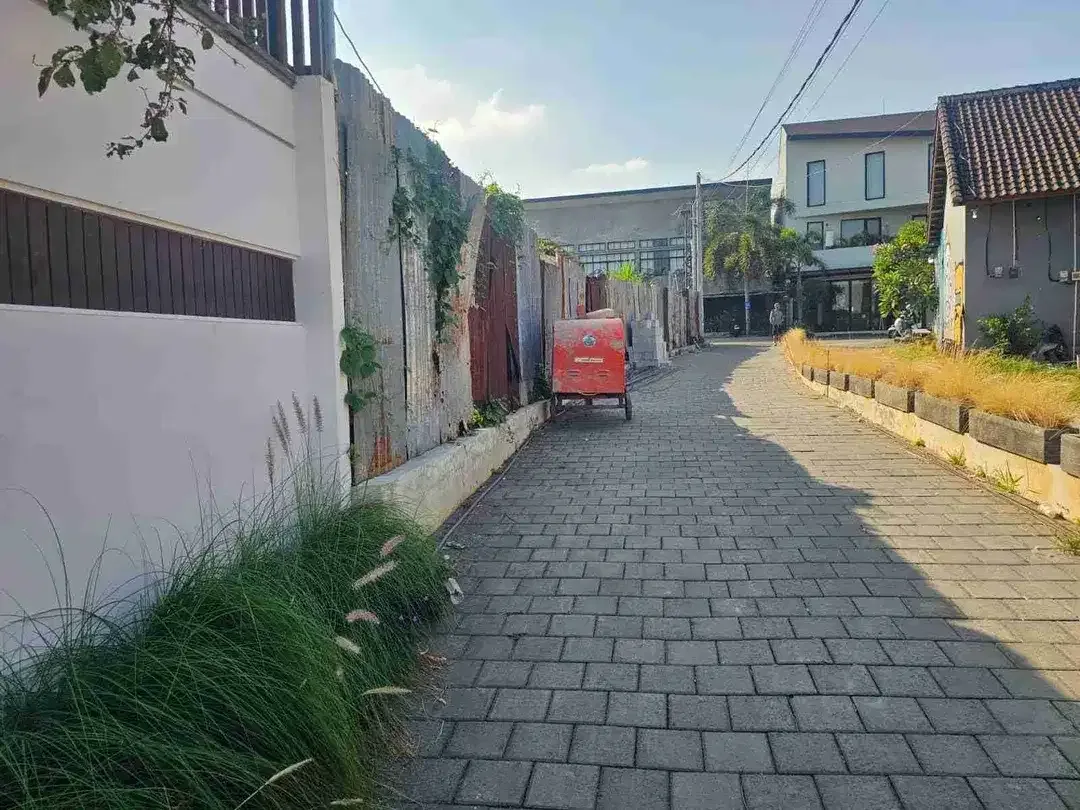 Tanah raya kayu tulang selatan canggu - Image 3 of 7