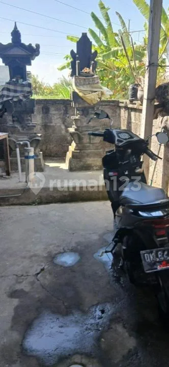 Kost Dijual Lokasi Ketewel Gianyar - Image 3 of 4