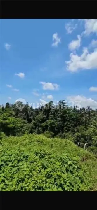 Tanah Besar Zona Kuning Harga Murah Los Sungai Wos - Image 1 of 4