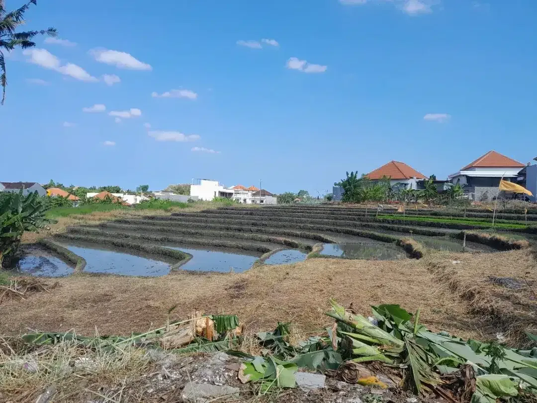 Tanah View Sawah Kayu Tulang Utara Canggu Bali - Image 7 of 10