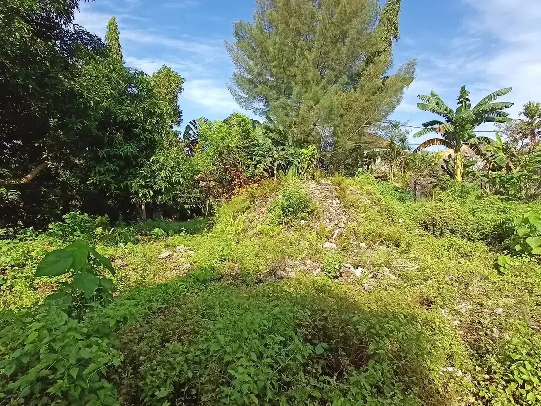 Freehold - Riverside Land for Sale in Prime Canggu, Bali Location - Image 1 of 8