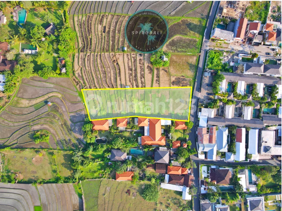 Dijual Tanah Premium di Umalas 20 Are - Image 4 of 4