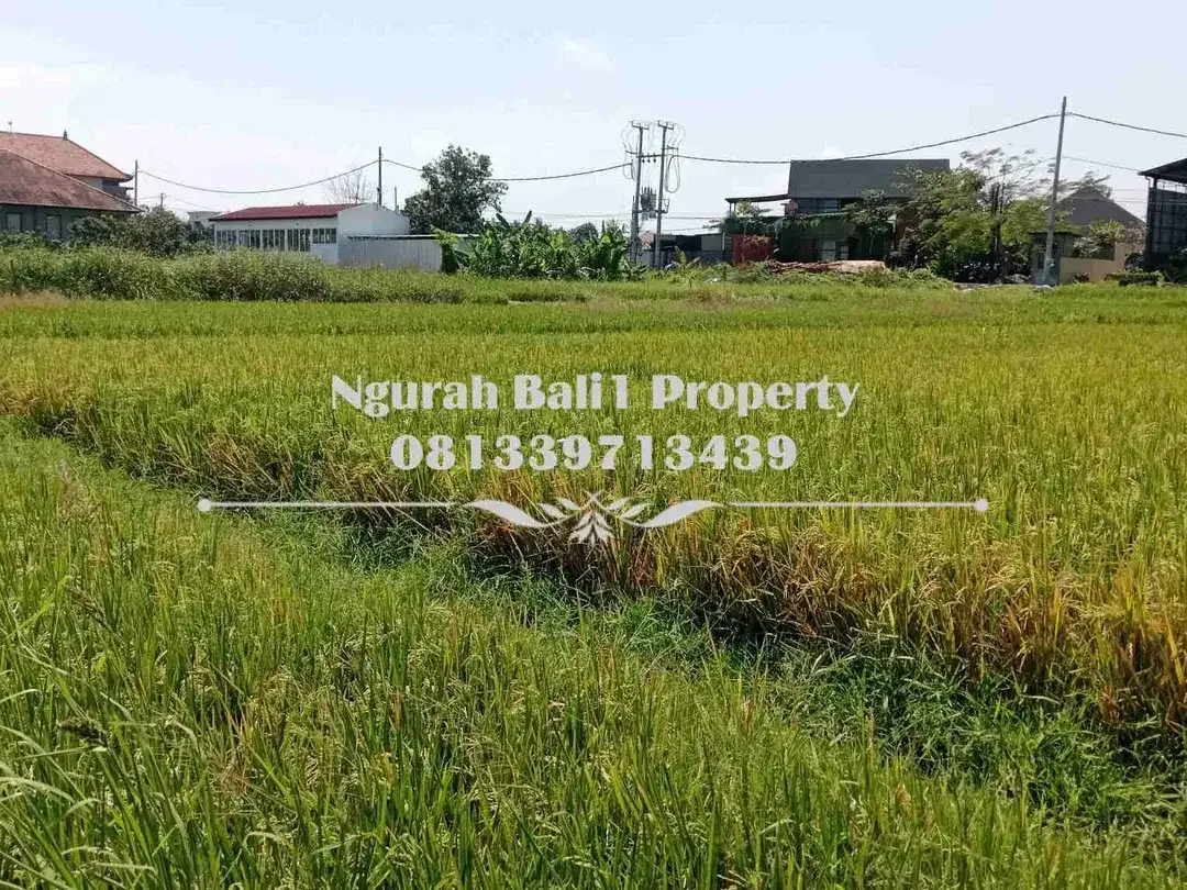 Dijual Tanah Murah Luas 3 Are View Sawah Kawasan Villa di Mas Ubud - Image 3 of 6