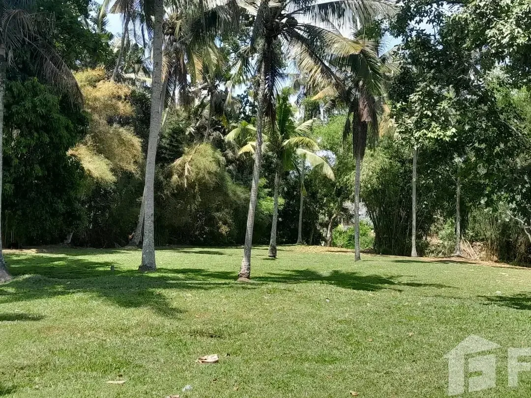 Land for sale in Ubud, Bali - Image 6 of 8