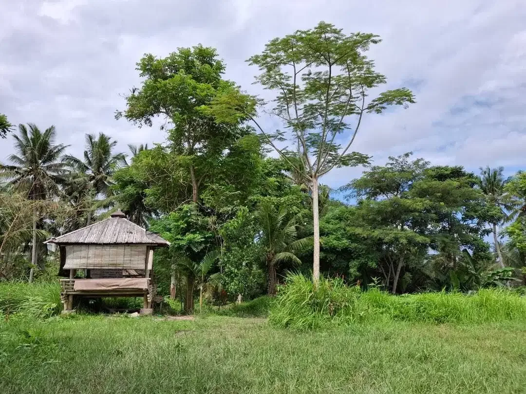 Dijual Tanah 23 are di daerah ubud - Image 2 of 9
