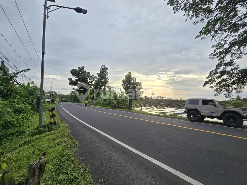 Dijua Tanah.murah View Sawah.akses Jalan Propinsi di Bali - Image 1 of 4