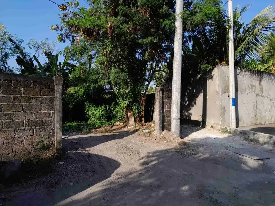 DIJUAL TANAH PADONAN DEKAT CANGGU - Image 8 of 10