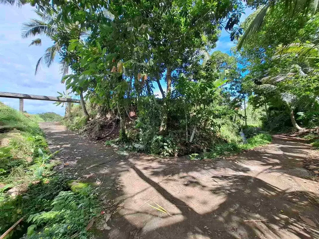 dijual tanah sawah view 5 gunung di bali - Image 10 of 10