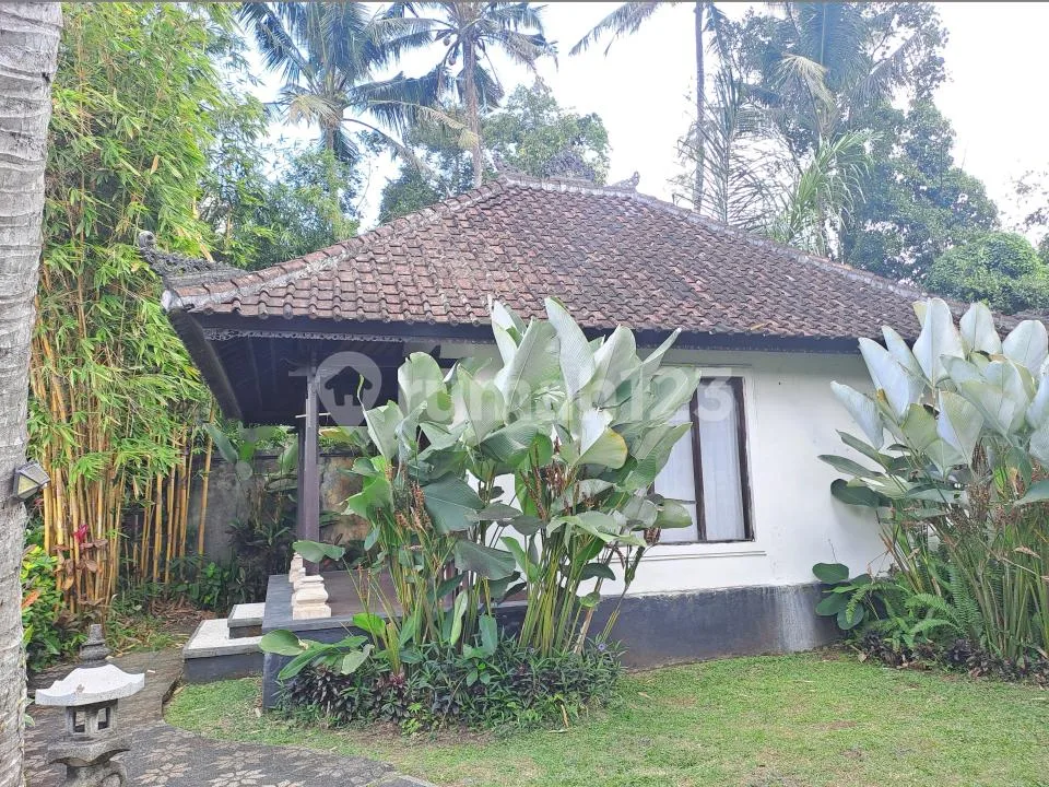 Villa Kompleks di Blayu Marga Tabanan Bagus Utk Investasi - Image 4 of 4