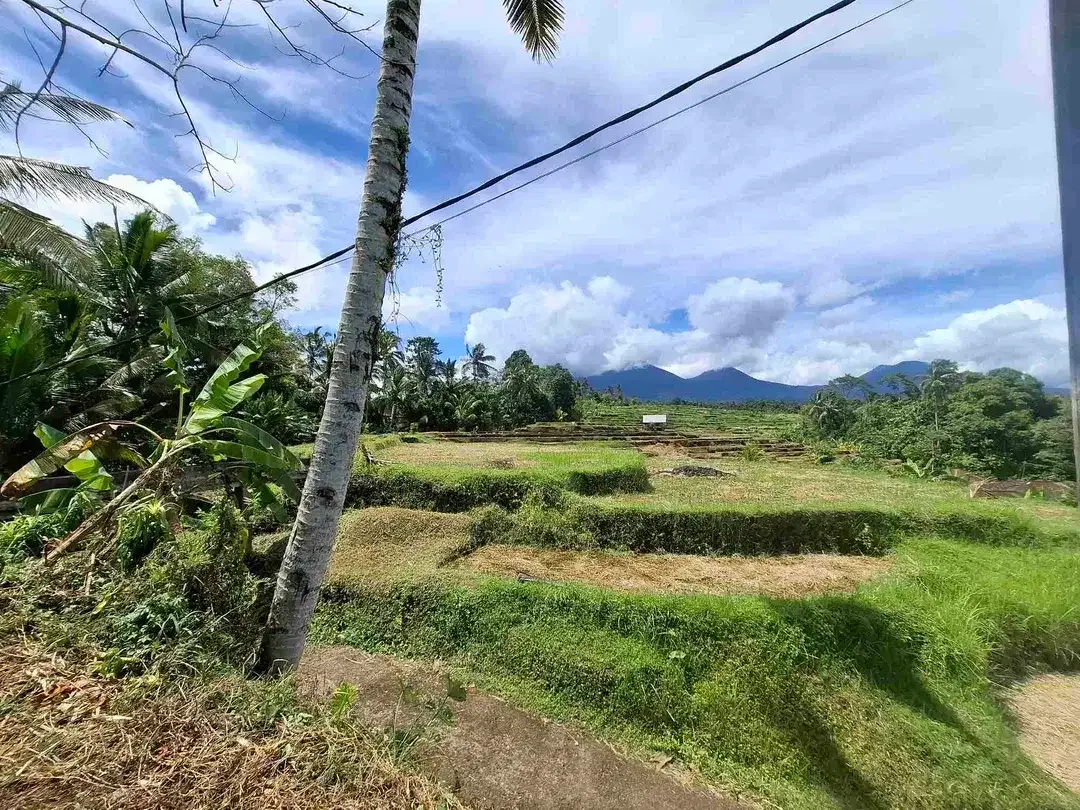 dijual tanah sawah view 5 gunung di bali - Image 2 of 10