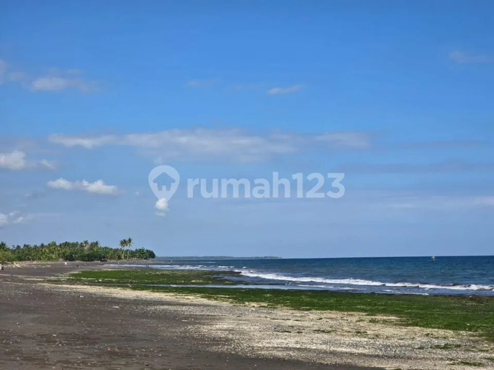Termurah Tanah Los Pantai Melaya Jembrana Bali - Image 4 of 4