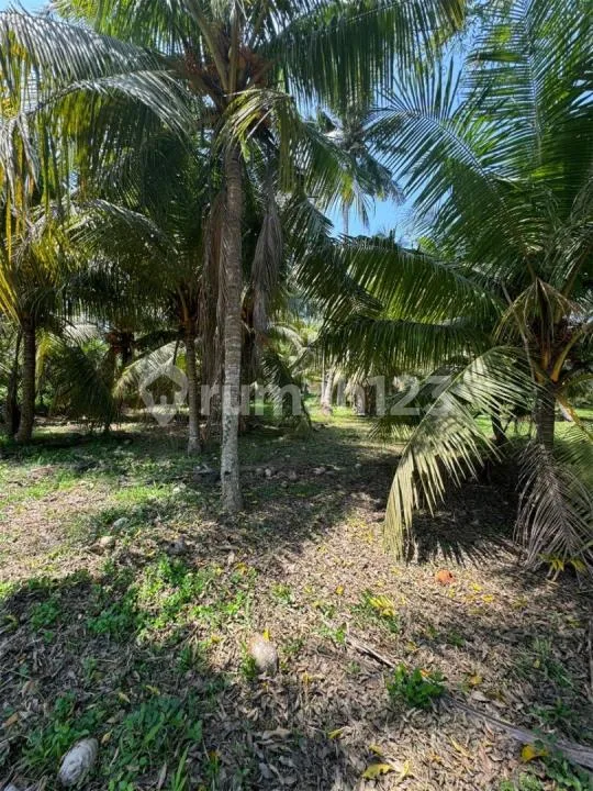 Dijual Tanah Lingkungan Villa di Ubud Tenang & Sejuk - Image 4 of 4
