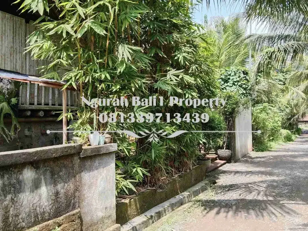Dijual Tanah Murah Luas 4 Are Kawasan Villa di Ubud Pejeng - Image 4 of 5
