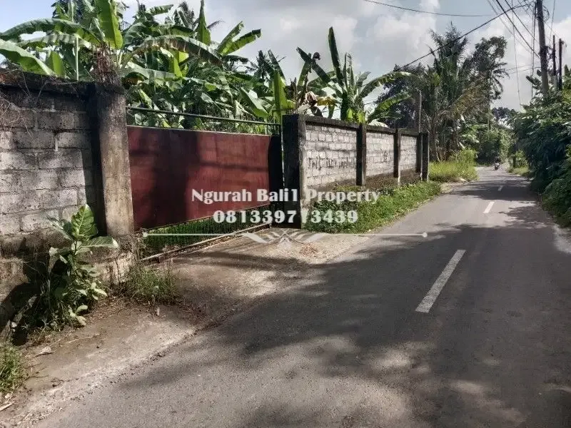 Tanah Murah Disewakan Luas 700 m2 Kawasan Villa di Ubud - Image 1 of 4