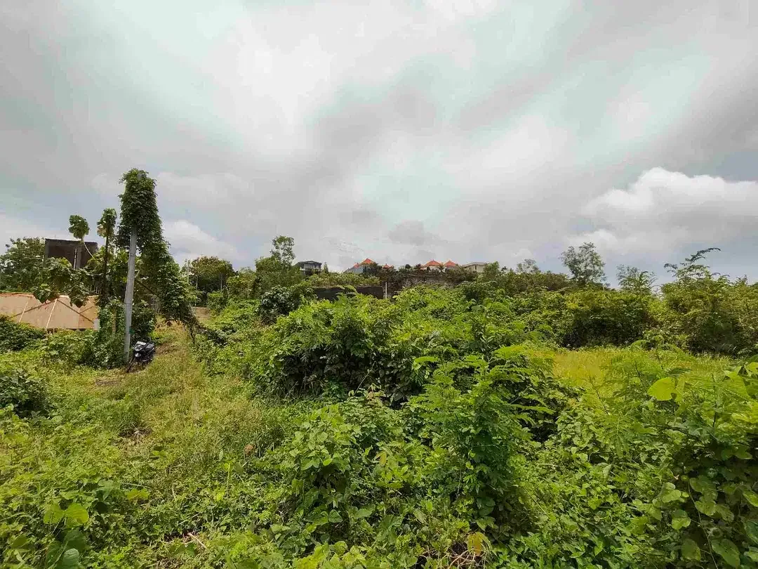 Tanah Dekat Greenbowl dan Pandawa Beach Bali - Image 7 of 7