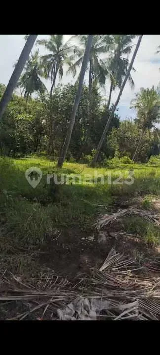 For Sale Beach Front Land In Area Planning To Build Airport Good Investment For Future - Image 3 of 3