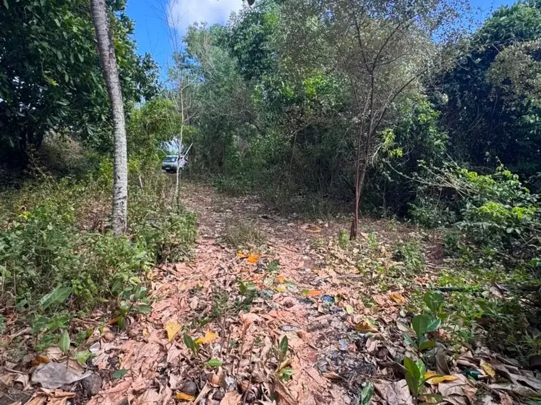 Premium Ocean View Land for Sale in Balangan, Bali – 9,250 m² Freehold Tourism Zone, Ideal for Villa, Resort & Hotel Development - Image 1 of 5
