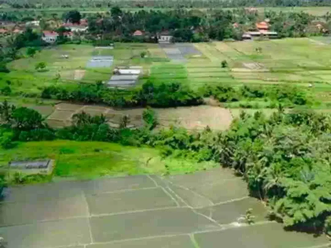Kavling Strategis Kawasan Villa Mewah Ubud - Image 8 of 9