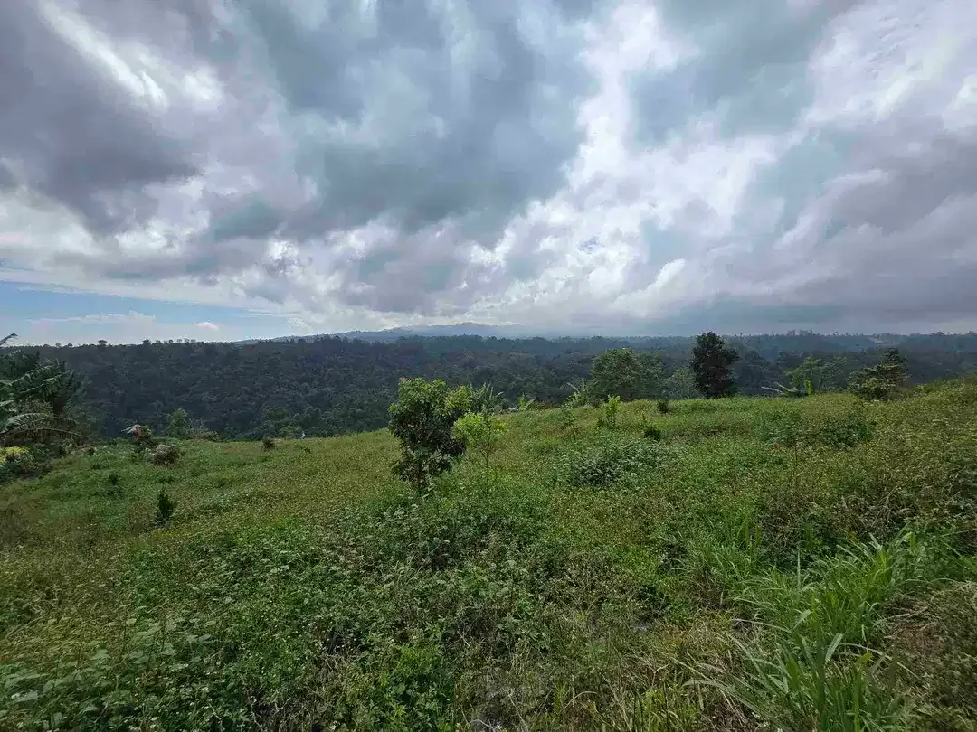 Dijual tanah view lembah sangat cantik di kintamani bali - Image 7 of 10