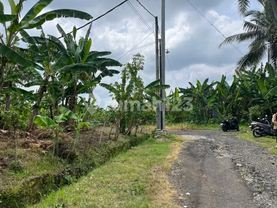 Dijual Tanah View Sawah Lokasi Desa Subamia Dekat Kota Tabanan Bali - Image 4 of 4
