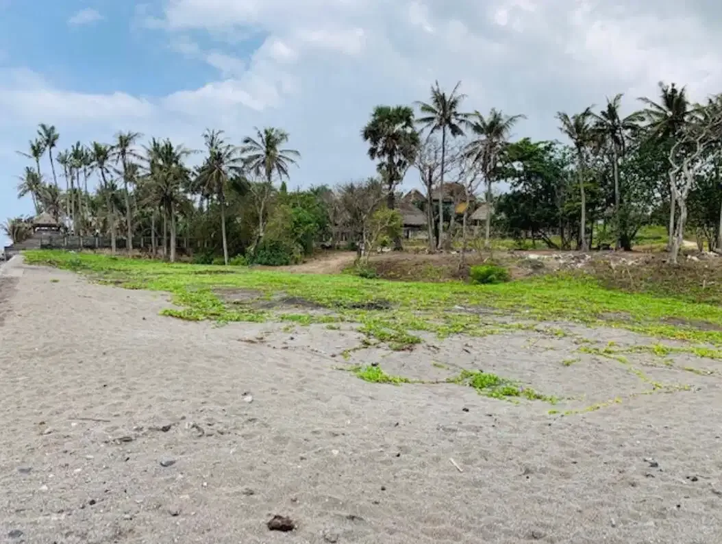 BEACHFRONT LAND WITH STRATEGIC LOCATION AT CANGGU CEMAGI - Image 3 of 9