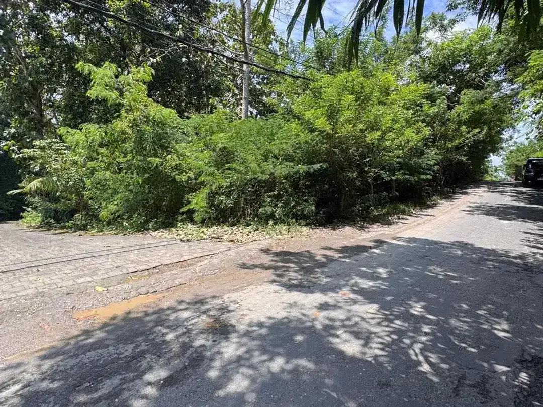 Di Jual Tanah Premium Pink Zone - Goa Lempeh, Pecatu - Image 2 of 3