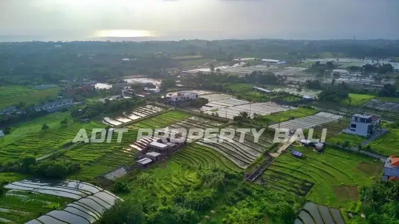 Tanah View Sawah Pantai Nyanyi Kediri Tabanan - Image 7 of 10