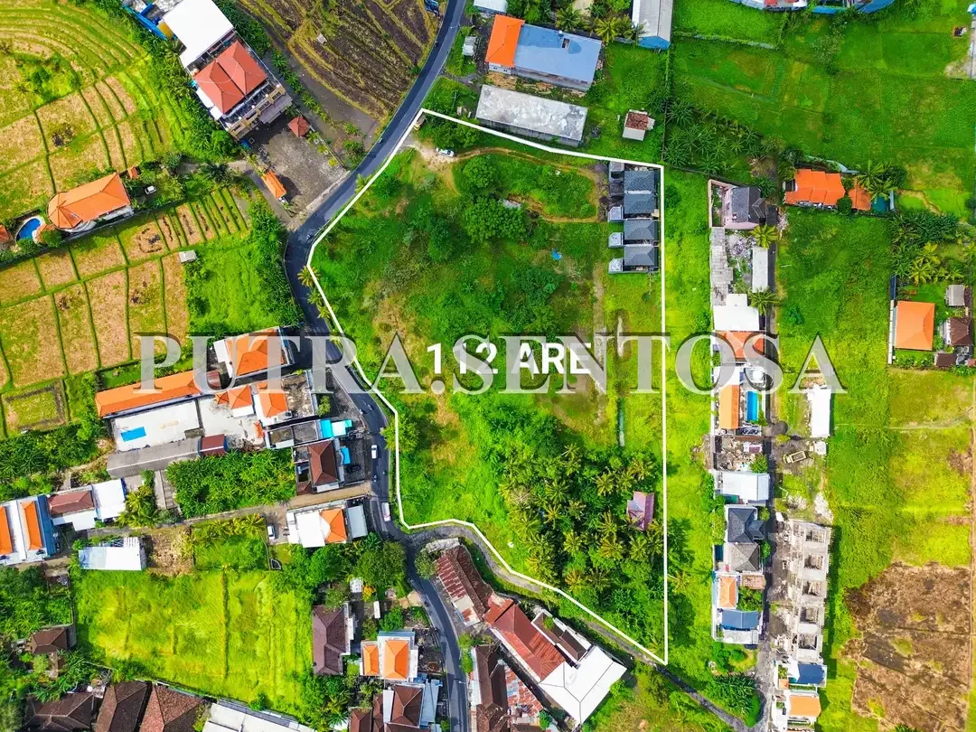 LAND FOR LEASE MAIN ROAD CANGGU NYANYI - Image 1 of 10