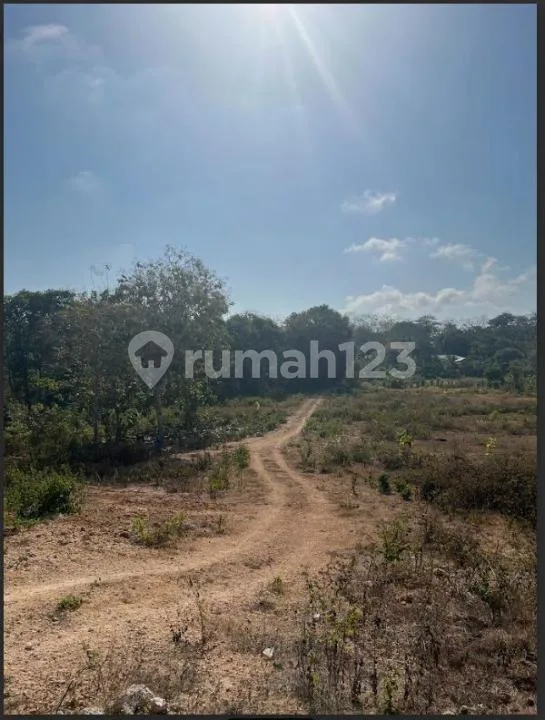 D Jual Tanah Premium Dekat Pantai Pandawa L - Image 3 of 4