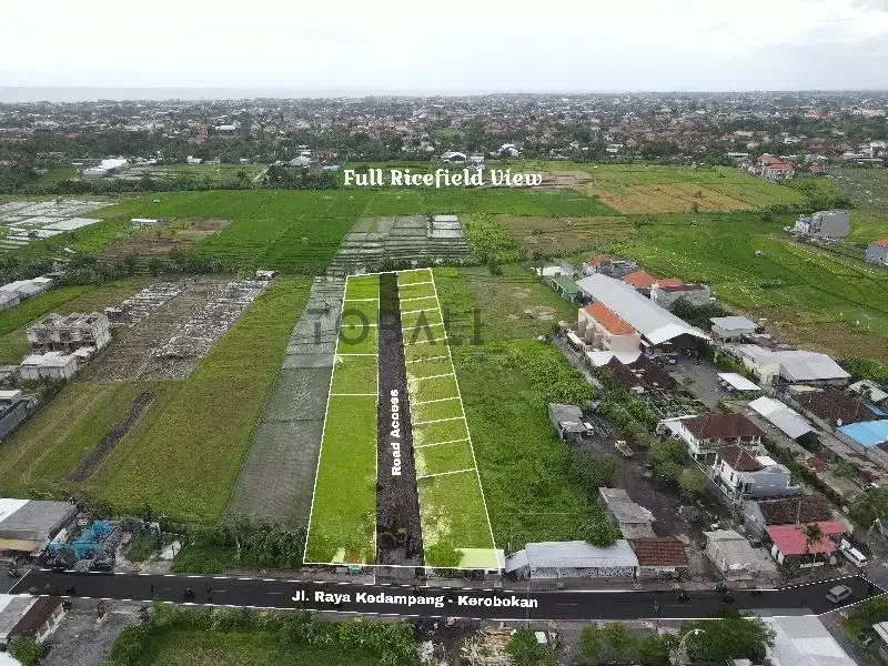 DISEWAKAN TANAH KAVLING LOKASI JL. KEDAMPANG -  KEROBOKAN - Image 2 of 7