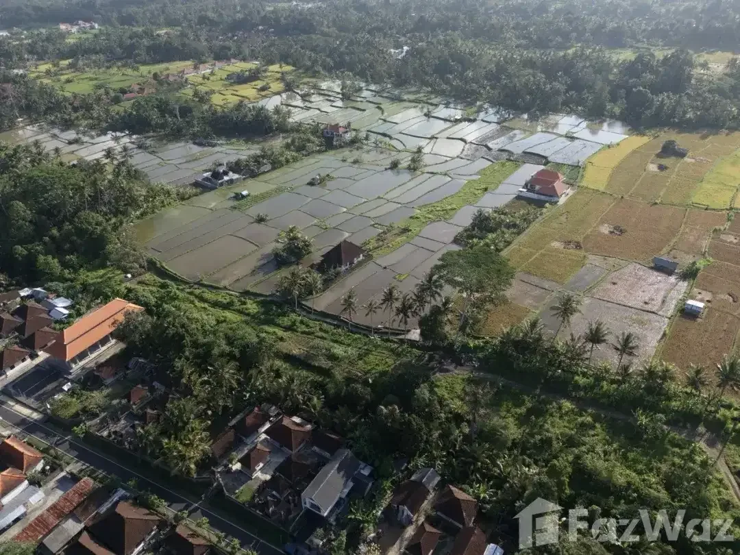 Land for sale in Pejeng, Bali - Image 5 of 9