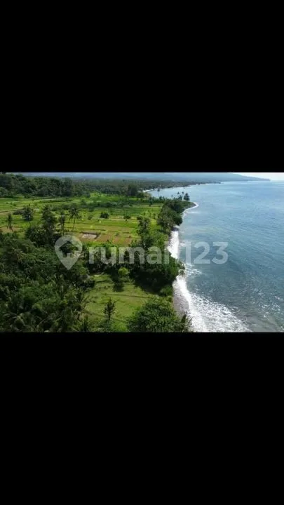 Dijual Tanah 2 Hektar Front Beach Virgin - Image 3 of 4