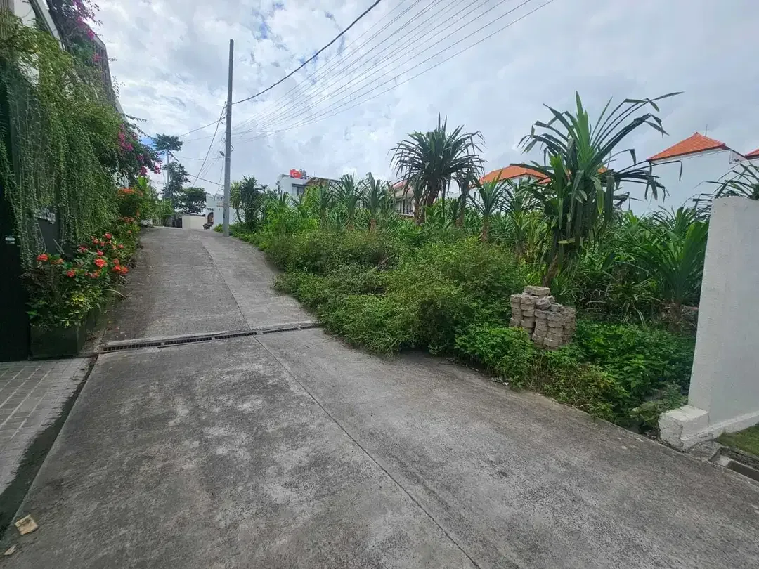 TANAH DIJUAL TUMBAK BAYUH DEKAT PERERENAN - Image 3 of 8