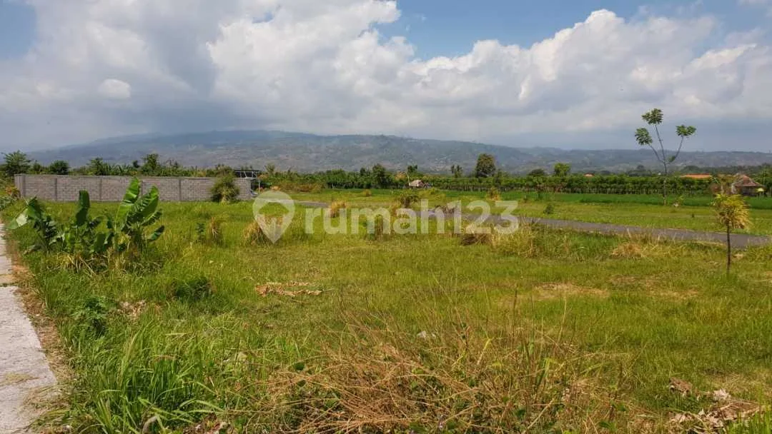 Dijual Kavling Tangguwisia Kec Seririt Buleleng Singaraja Bali - Image 1 of 2
