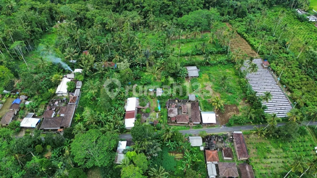 Dijual Lahan Diutara Ubud Lokasi Tegalalang SHM View Jungle Hutan - Image 3 of 4