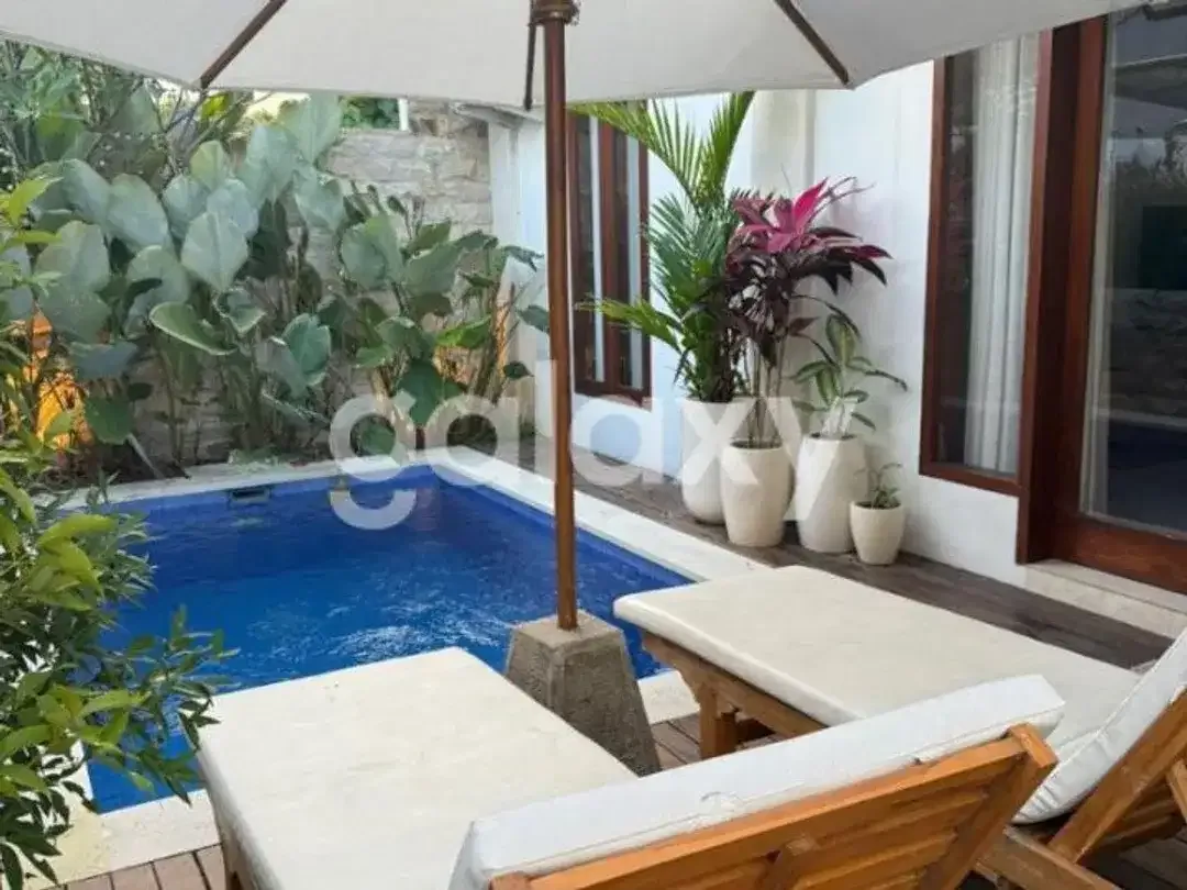VILLA BAGUS 1 LANTAI DI SRI PADANG KERTA SANUR DENPASAR, BALI - Image 1 of 10