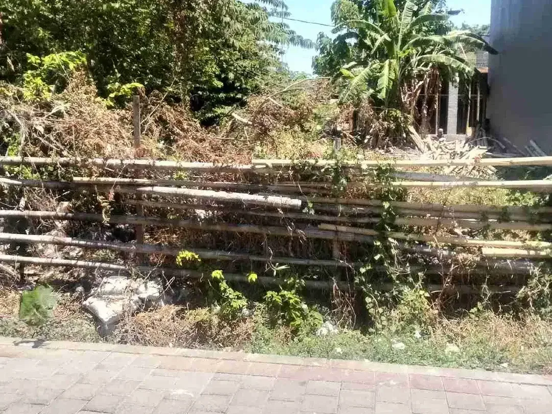 Di jual tanah jalan Mertasari, Sidakarya, Denpasar, Bali - Image 1 of 3