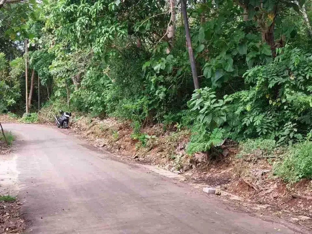dijual tanah 19,80 are Kawasan Nyang Nyang beach pecatu 850 juta per are - Image 4 of 10