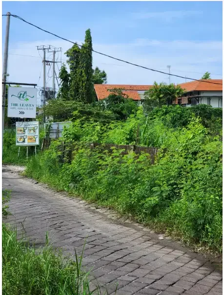 Tanah Murah 6 Are di Berawa Canggu - Image 3 of 9