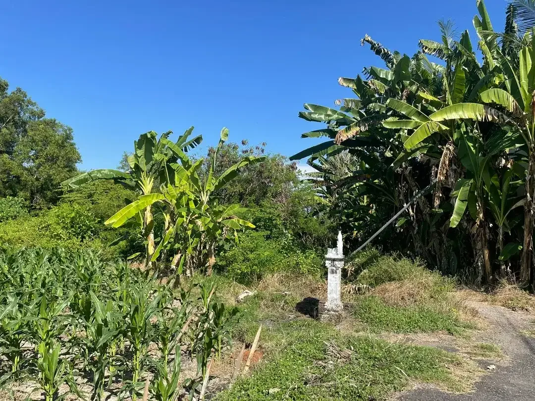 Beachfront For Sale Freehold in Ketewel Beach - Image 4 of 8