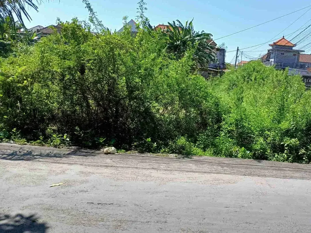 Tanah sewa Murah Strategis Langka di Renon Denpasar - Image 2 of 2