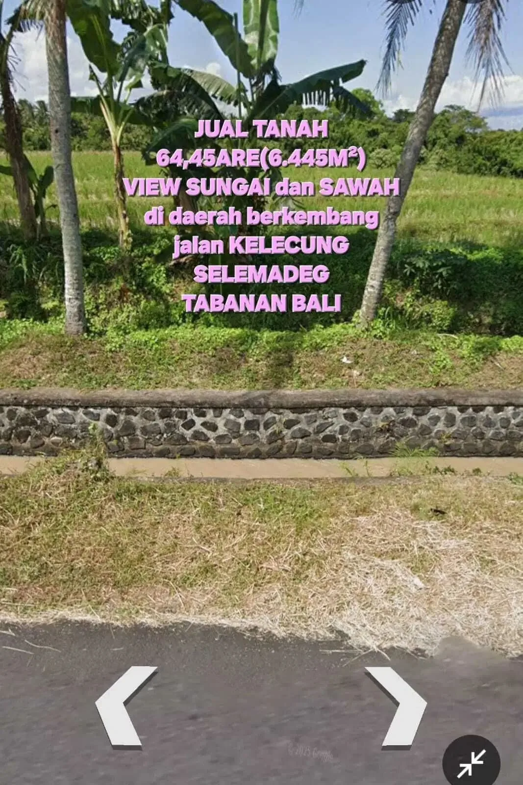Jual tanah 6445m2 tegal megkeb tabanan - Image 4 of 7