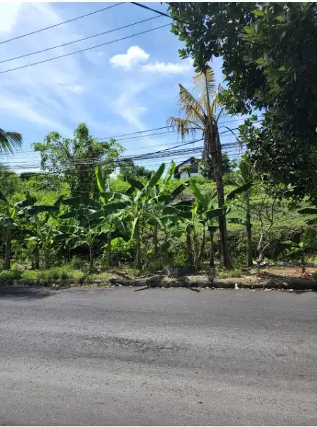tanah murah 20 are di nusa dua samping hotel Amaroossa - Image 7 of 10
