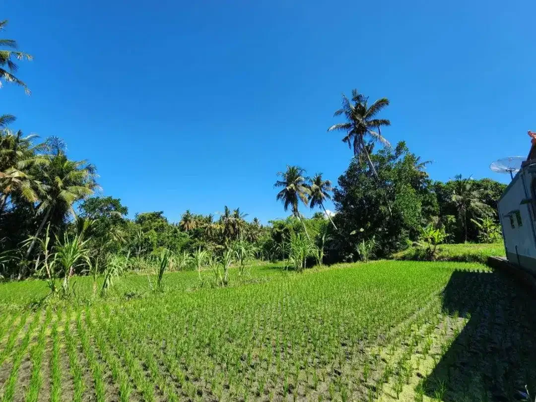 Dijual Tanah Siap Bangun - Berlokasi di Pering, Idabagus Mantra, Gianyar, Bali - Image 3 of 4
